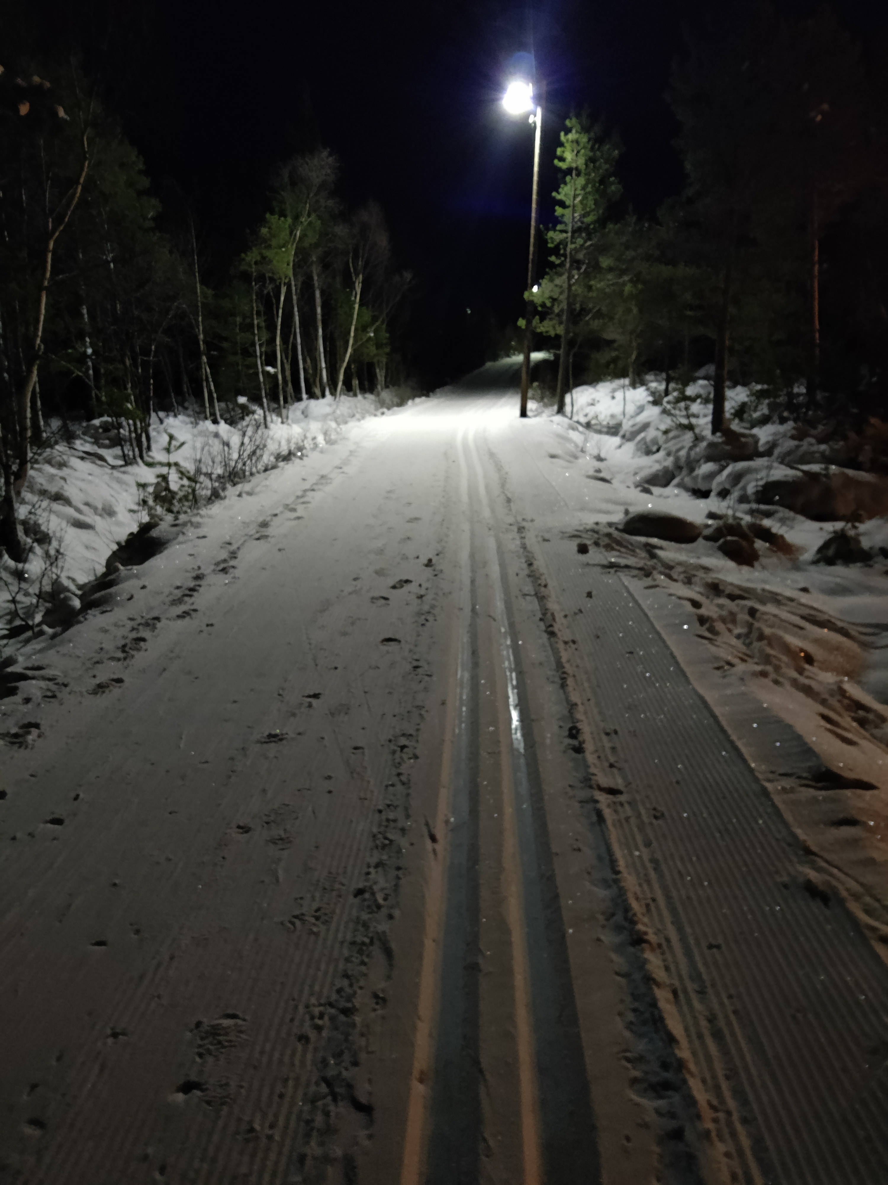 Flotte forhold på Myr